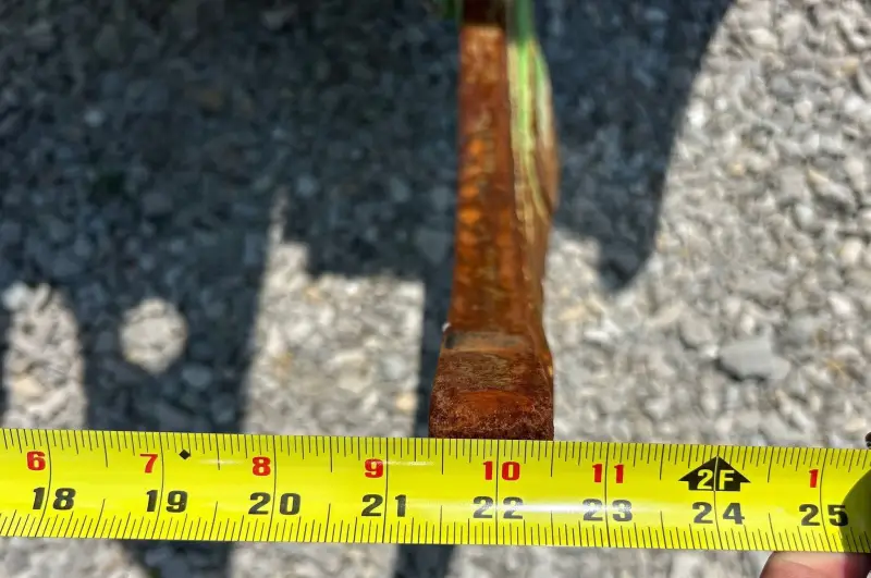 2022 Sennebogen 718 photo 14