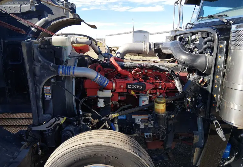 2022 Peterbilt 389 photo 102