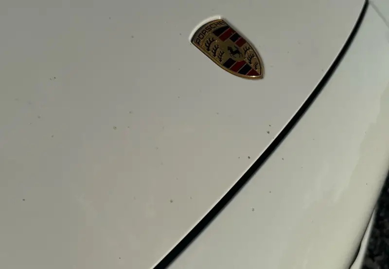 2021 Porsche Cayenne photo 11