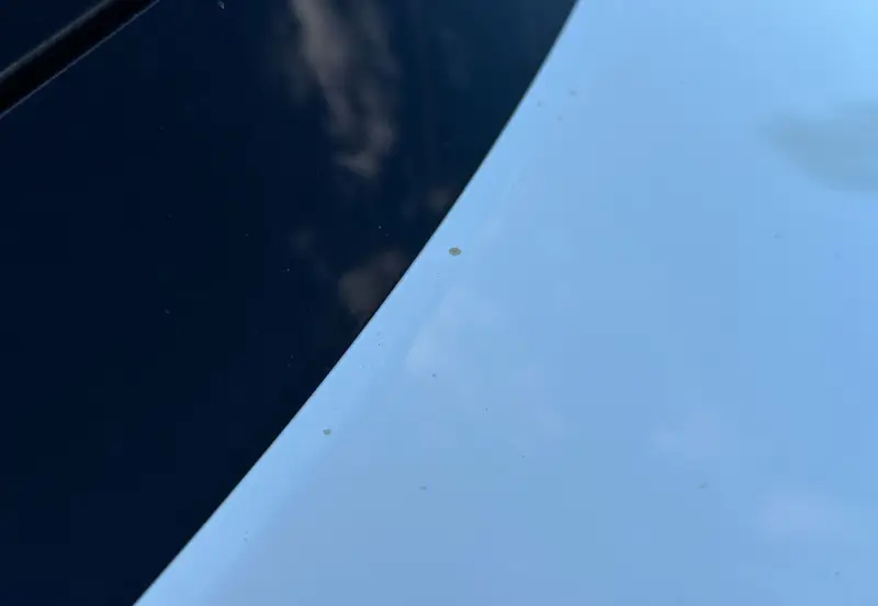 2021 Porsche Cayenne photo 13
